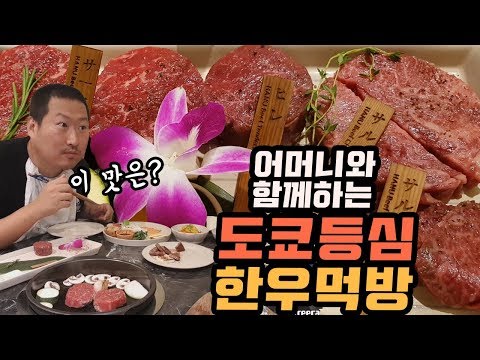 등심 1인분에 4 5만원 어머니와 함께하는 고급 소고기 전문점 도쿄등심 에서 한우 등심 먹방 Mukbang