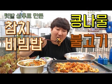 텃밭에서 딴 상추로 만든 참치비빔밥 과 콩나물 불고기 시청자 댓글 반영한 요리 먹방 흥삼 in 옥탑방 17