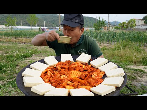 두부김치 부드러운 두부와 맛있는 볶음 김치로 막걸리 한 잔 Tofu with stir fried