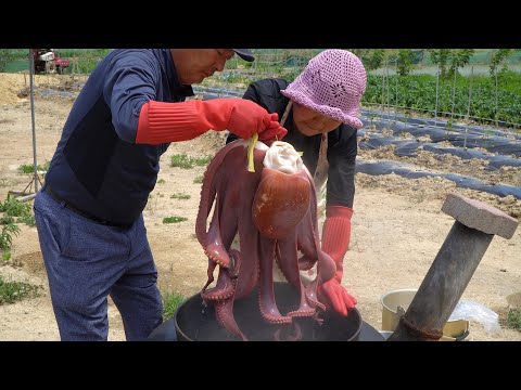 문어와 수육 묵은지를 조합한 맛있는 삼합 Boiled octopus Boiled pork Ripe