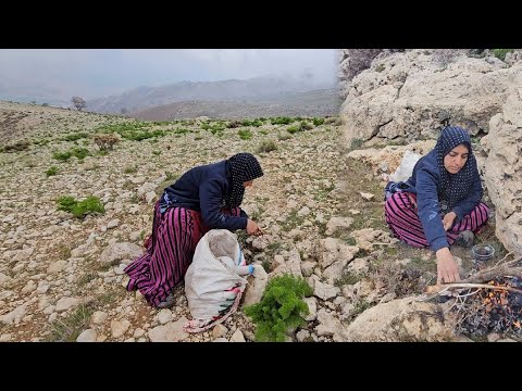 Nature s Bounty A Nomadic Woman s Quest for Mushrooms and