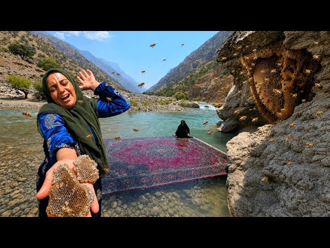 Harvesting the Rarest Wild Honey Soghra s Incredible
