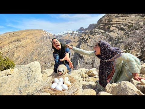 The Argument Between Soghra and Zeynab Over Partridge Eggs