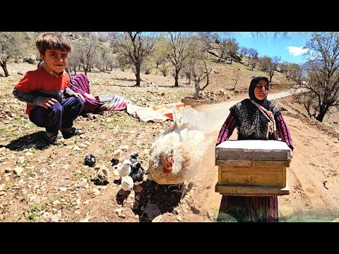 Daily life of nomads 2024