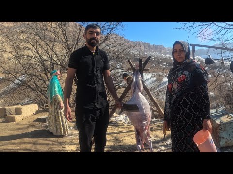 Skinning sheep and making Kebab Guests in the Village 2023