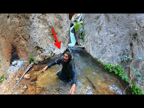 Nomadic Mother Falls Off a Cliff Life s Struggle in the Wild