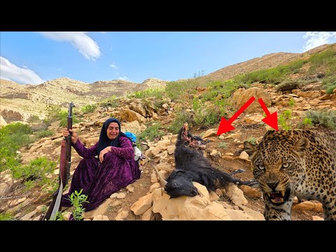 Heartbreaking Loss A Leopard Attacks Soghra s Herd and