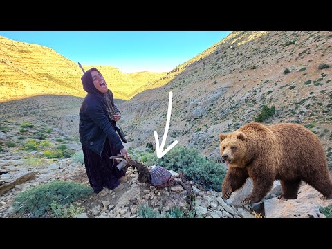 Tragedy in Nomadic Life Soghra Lost Her Sheep to Wild