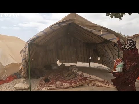 Nomadic Life Embracing the Rhythms of Daily Life in a