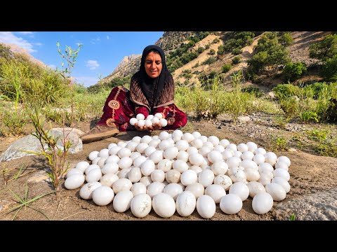 Collecting Wild Duck Eggs by a Raging River in the Zagros