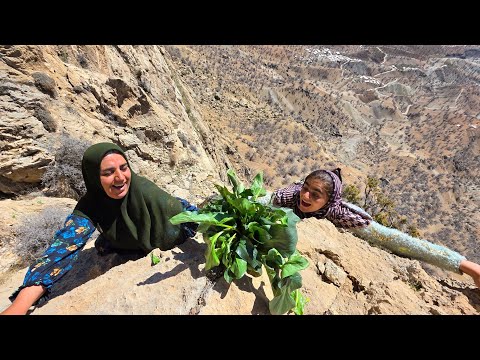 Dangerous Wild Herb Harvesting on Rocky Mountains Nomad