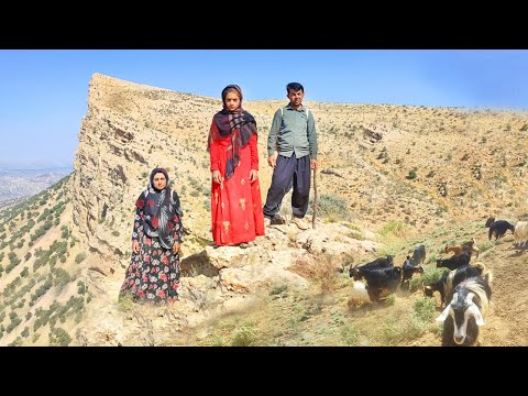 Nomadic Journeys Sheep Grazing amidst Majestic Mountains