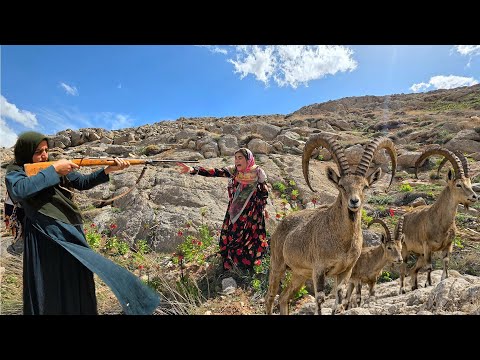 Mountain Goat Hunting by a Nomadic Woman Did She Succeed