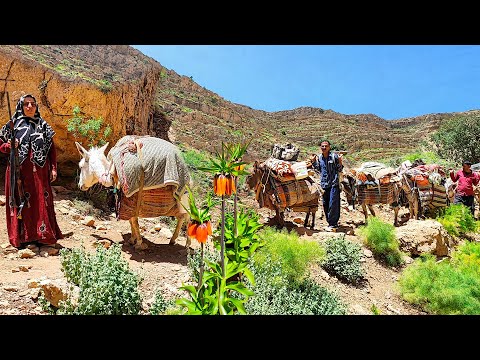 And finally the great migration of the nomadic family began