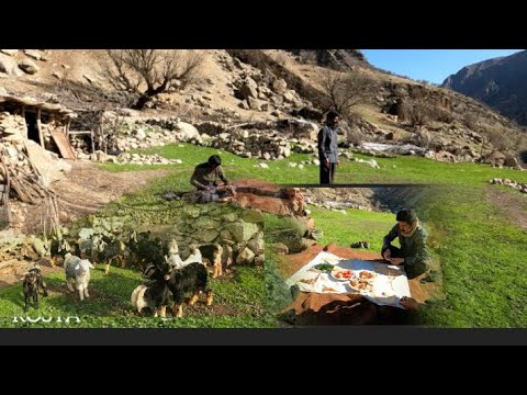 Nomadic life making barbecue lunch Nomadic Life 2022