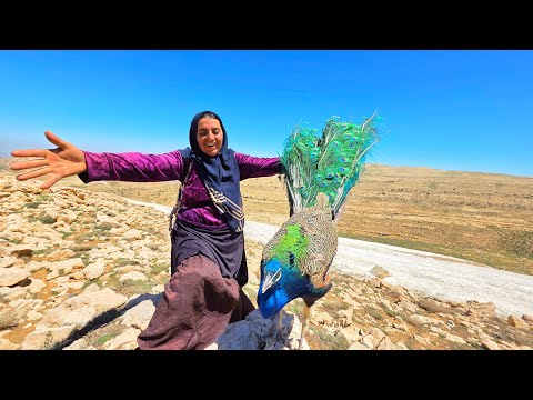 A Young Nomadic Woman Discovers a Rare Bird of Paradise in