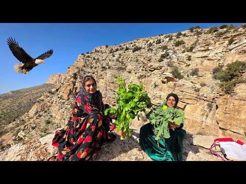 Brave Women vs Wild Zagros Picking Ganbo in Extreme