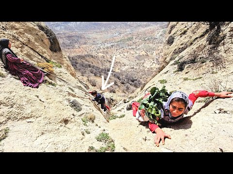 Risk for life Iran s nomadic family in 2024