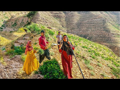 Water piping by a nomadic family