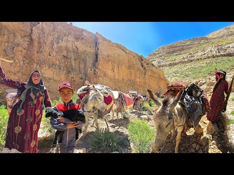 Nomadic Family Migration The Hardships and Efforts of