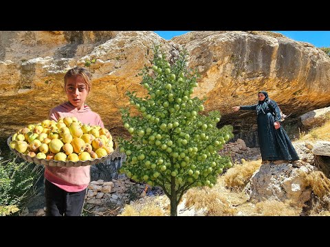 Saghar s Apple Hunt in the Zagros Mountains A Nomadic
