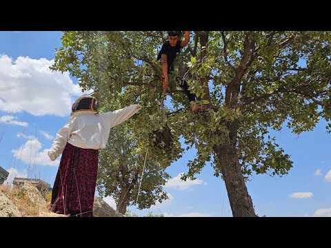 Nomadic Life Catching Honey Bees Pitching a Tent for a New