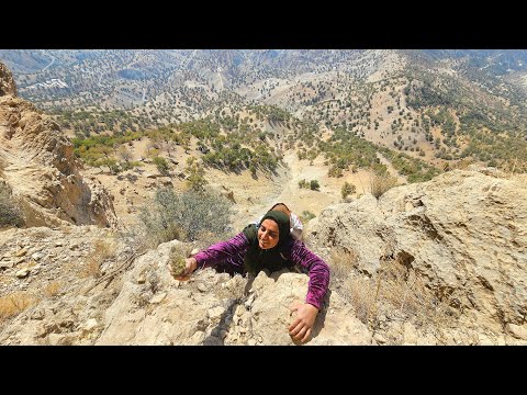 The Search for Rare Herbal Medicine You Won t Believe Her