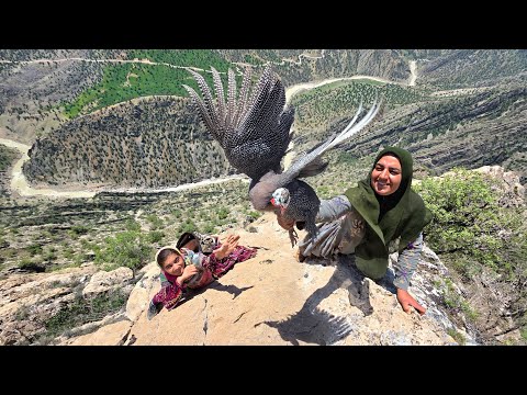Bird Trapped in the Zagros Mountains Rescued by Soghra and