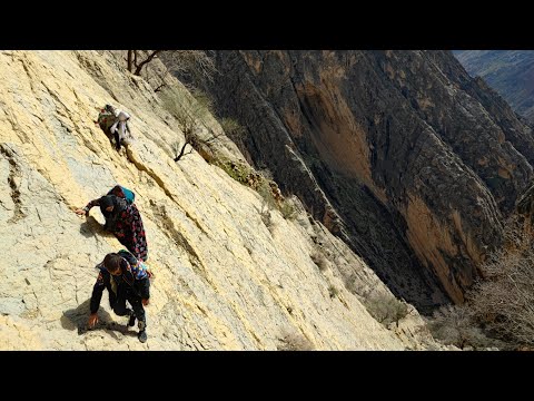A rural family passing through a difficult and dangerous
