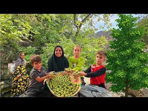 Soghra s Mountain Life Picking Walnuts for Her 7 Children