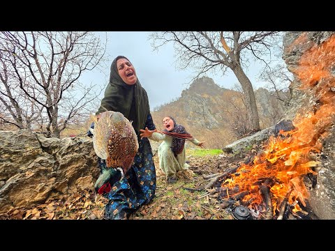 Soghra Zeinab in the Zagros Mountains Discover a Rare Bird