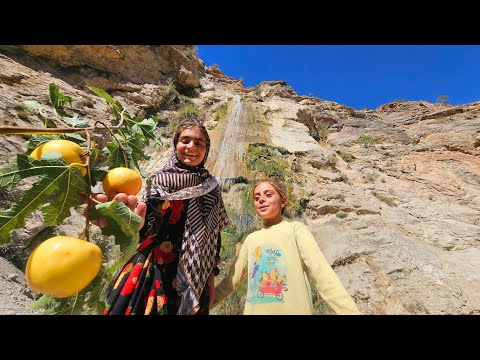 Wild Suzo Mountain Apple Picking with Zainab Her Sister