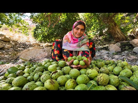 Wild Walnuts in the Zagros Mountains A Brave Nomadic Girl s