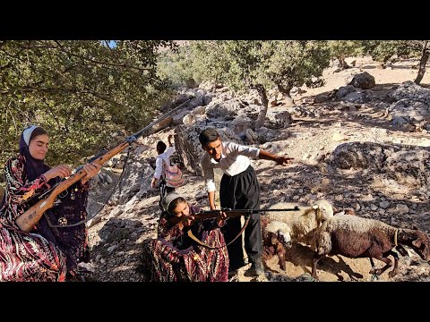Grazing sheep and learning how to shoot a gun by a nomadic
