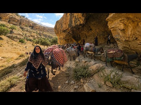 The Journey of the Largest Nomadic Family with 35 Donkeys