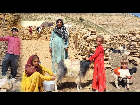Milking Goats Preparing Our Simple Evening Meal A Peek into