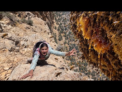 Wild Honey Harvest in the Heart of the Zagros Mountains by