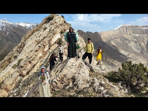A village family crosses the rough mountains to pick edible
