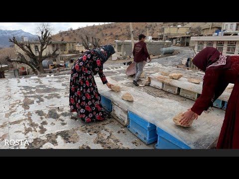 Saving the bees from the rain Village Life 2022