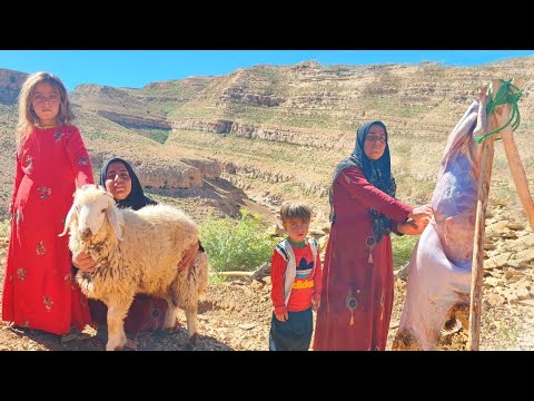 Eid al Adha ceremony ceremony sheep sacrifice in nomads