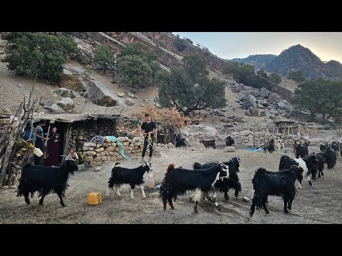 Crossing the impassable roads is a risk for the nomadic