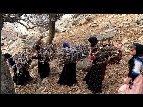 Gathering Firewood by the Nomad Women Village and Nomad