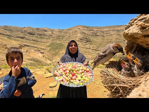 Rare Village Life A Nomadic Woman Harvests Special Fruit a