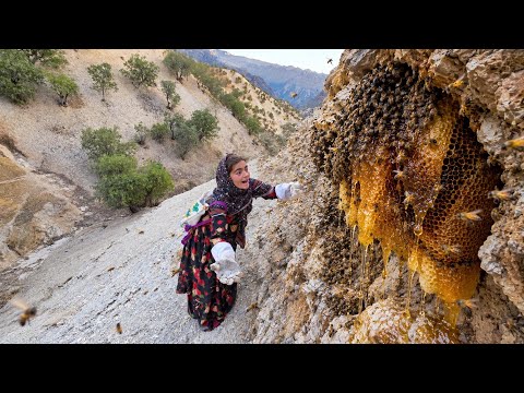 Nomadic Girl Harvests Wild Honey in the Harshest Mountains
