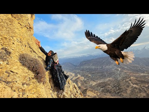 A Nomadic Woman s Journey in the Zagros Mountains The