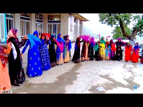 Nomadic Life A Heartwarming Look Back at the Joyful