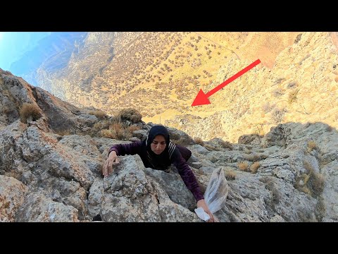 Impossible Paths Even Mountain Goats Won t Go Here Brave