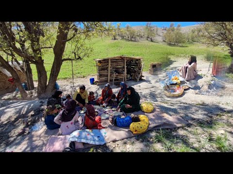 Cooking food in hut and picking grass for the sheeps by