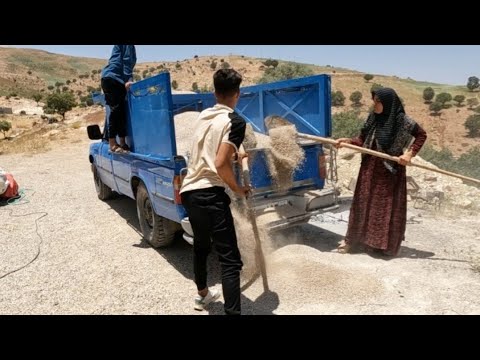 Nomadic Life Building a Sheep Shelter Demolishing an Old Hut