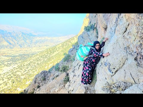 Mountains A Village Family s Quest for Pistachios Herbal